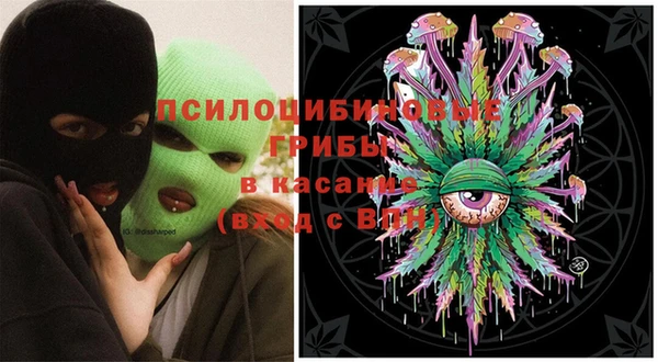 ГАЛЛЮЦИНОГЕННЫЕ ГРИБЫ Богородицк
